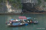 SCT_Vietnam_094_HalongBay.jpg