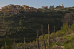 shorty_italy_cinqueterre_1211_198.jpg