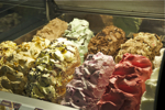 shorty_italy_florence_1211_007.jpg