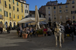 shorty_italy_lucca_1211_19.jpg