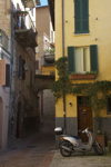 shorty_italy_perugia_1211_14.jpg