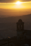 shorty_italy_perugia_1211_63.jpg