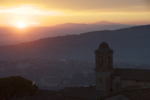shorty_italy_perugia_1211_72.jpg