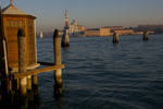 shorty_italy_venice_1211_217.jpg