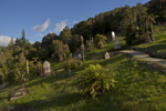 shorty_nz_westcoast_0212_27.jpg