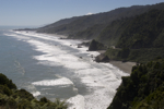 shorty_nz_westcoast_0212_58.jpg