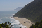 shorty_nz_wildnorth_0312_061.jpg