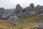 shorty_nz_wildnorth_0312_093.jpg